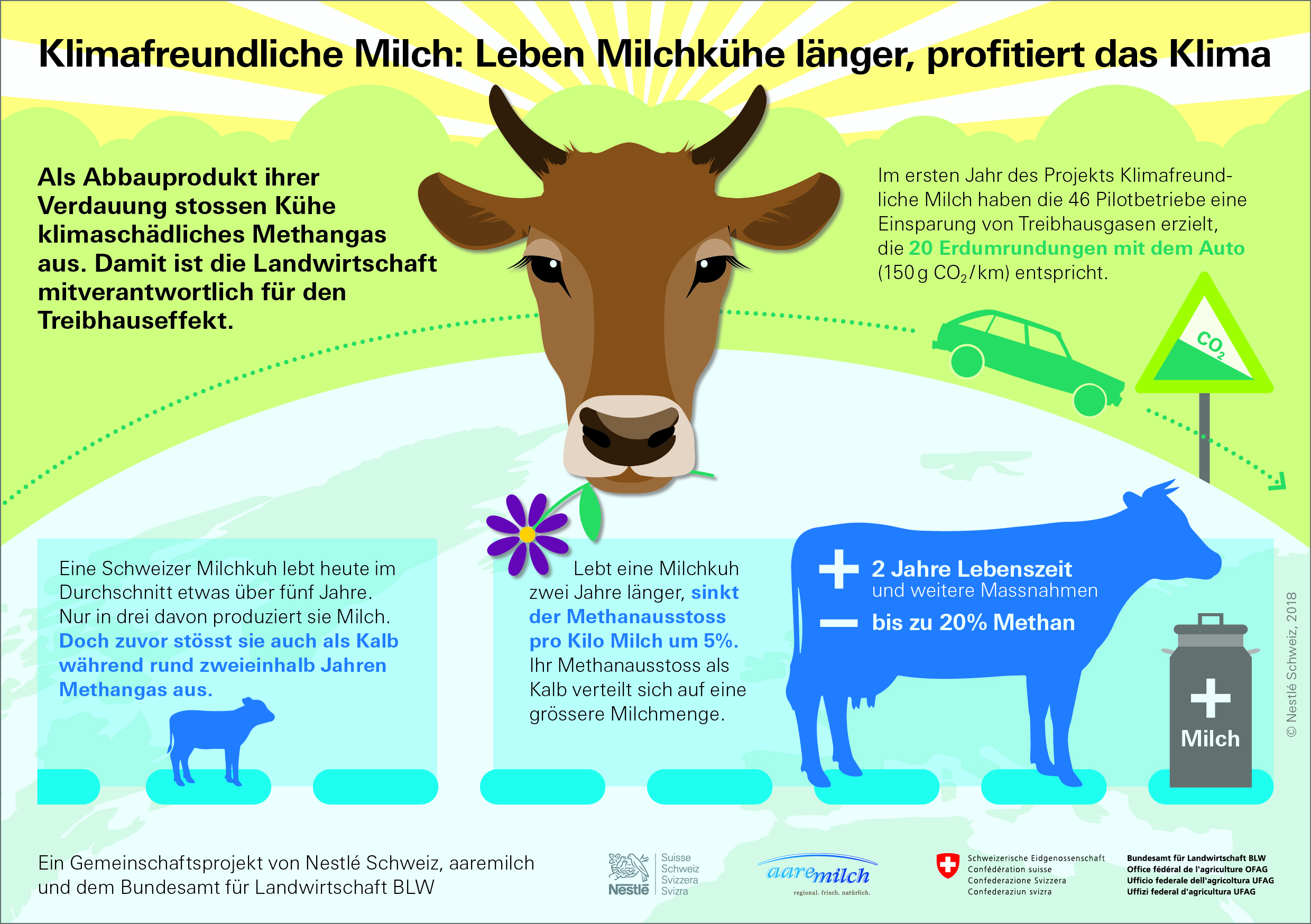 Klimafreundliche Milch: mit älteren Kühen das Klima schonen